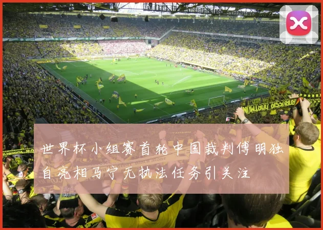 世界杯小组赛首轮中国裁判傅明独自亮相马宁无执法任务引关注