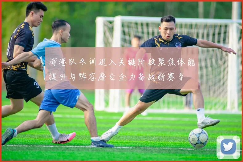 海港队冬训进入关键阶段聚焦体能提升与阵容磨合全力备战新赛季